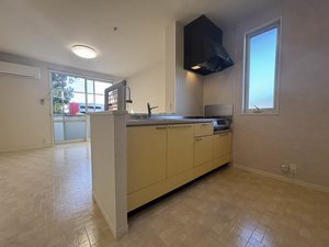 ディアスＫＳ A0201号-3