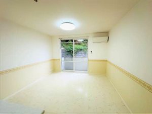 ディアスＫＳ A0202号-2