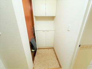 ディアスＫＳ A0202号-4