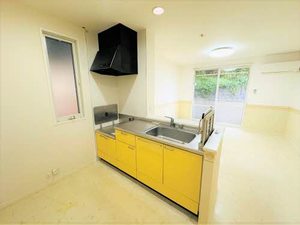 ディアスＫＳ A0202号-5