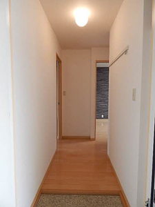 リュミエール　＊＊ A0203号-2