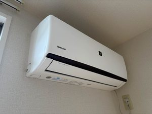 コスモスコーポラス C棟 C0102号-11
