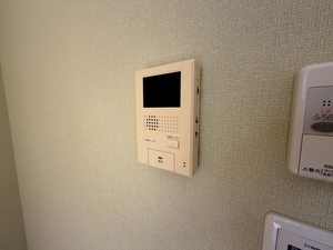 ピュアさくら ** A0101号-7