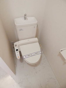 ピュアさくら　＊＊ A0103号-5