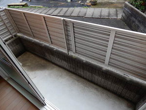 ピュアさくら　＊＊ A0103号-13