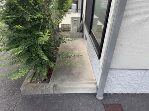 モンフレール Ⅲ ** A0101号-12