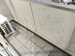 ヴィサージュ本城　＊＊　Ａ棟 A0203号-13