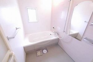 ヴィサージュ本城 ** D棟 D0203号-4