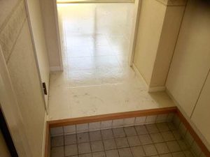 シャーメゾンＳ A0102号-4