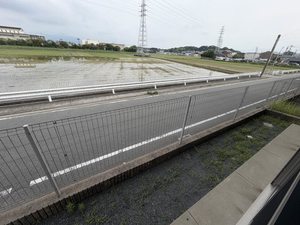 セレッソⅡ A0101号-15