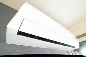 ディアス馬場山　Ｂ棟　＊ B0101号-3