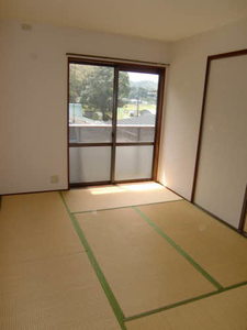 シードリーフ A0202号-6