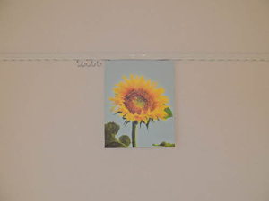 プリマヴェーラ　＊ A0202号-14