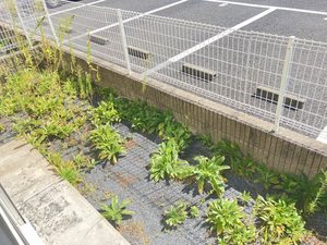 ハーティストＴ　Ａ棟　＊ A0102号-13