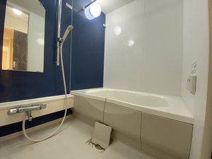 コリーヌ和　＊ A0102号-4