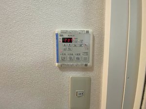 コリーヌ和　＊ A0102号-9