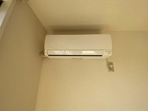 コリーヌ和　＊ A0102号-10