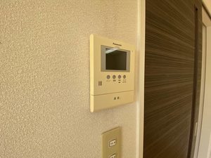 コリーヌ和　＊ A0102号-11