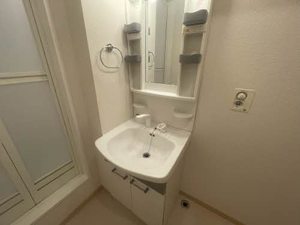 サリーレ新屋敷　Ⅱ番館　＊＊ B0102号-5