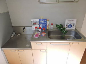 メゾン・エスプワール D棟 * D0202号-15