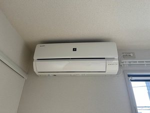 アグールシャルマン天野　＊ A0202号-6