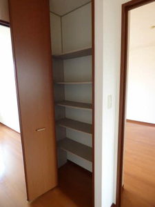 ディアスやよい ** A0201号-6