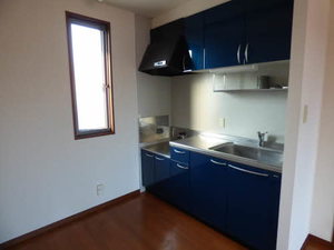 ディアスやよい ** A0201号-10