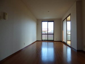 ディアスやよい ** A0201号-11