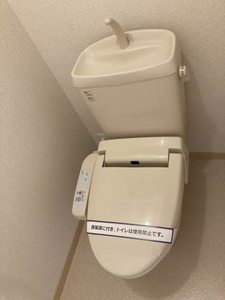 メロディ　＊＊ A0101号-11