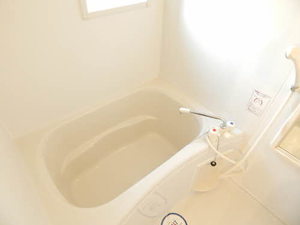 ディアスパルモ古国府 ** A0102号-5