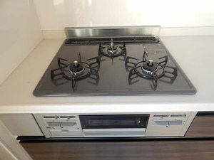 レーベン内橋　Ｂ棟　＊ B0202号-14