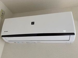 カサヴェルデ天拝 A0101号-5