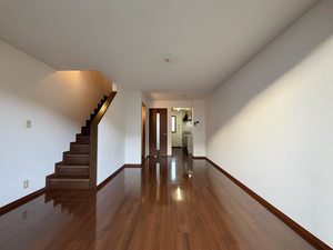 ディアスパルモS Ⅱ B0101号-2