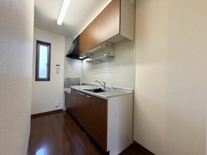 ディアスパルモS Ⅱ B0101号-3