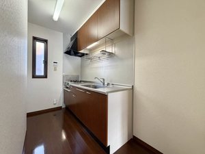 ディアスパルモＳ　Ⅱ B0103号-3