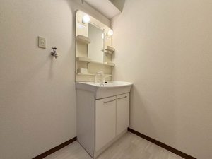 ディアスパルモＳ　Ⅱ B0103号-5