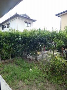 ディアス元岡　１番館　＊＊ A0102号-14