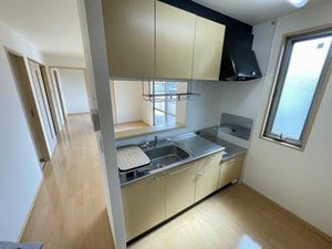 ディアノンstage Ⅰ ** A0202号-3