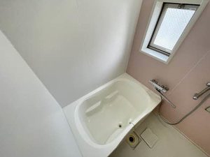 ディアノンｓｔａｇｅ　Ⅱ　＊＊ A0201号-4