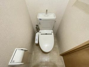 ディアノンｓｔａｇｅ　Ⅱ　＊＊ A0201号-5