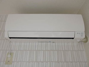 アンシャンテ　＊ A0201号-12