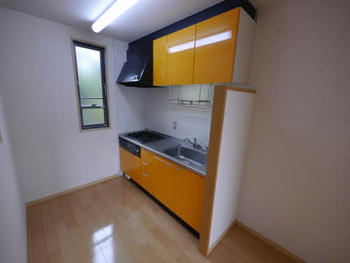 ディアス大慶　＊＊ A0101号-3