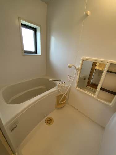 ディアス・ボヌール　＊ A0202号-5