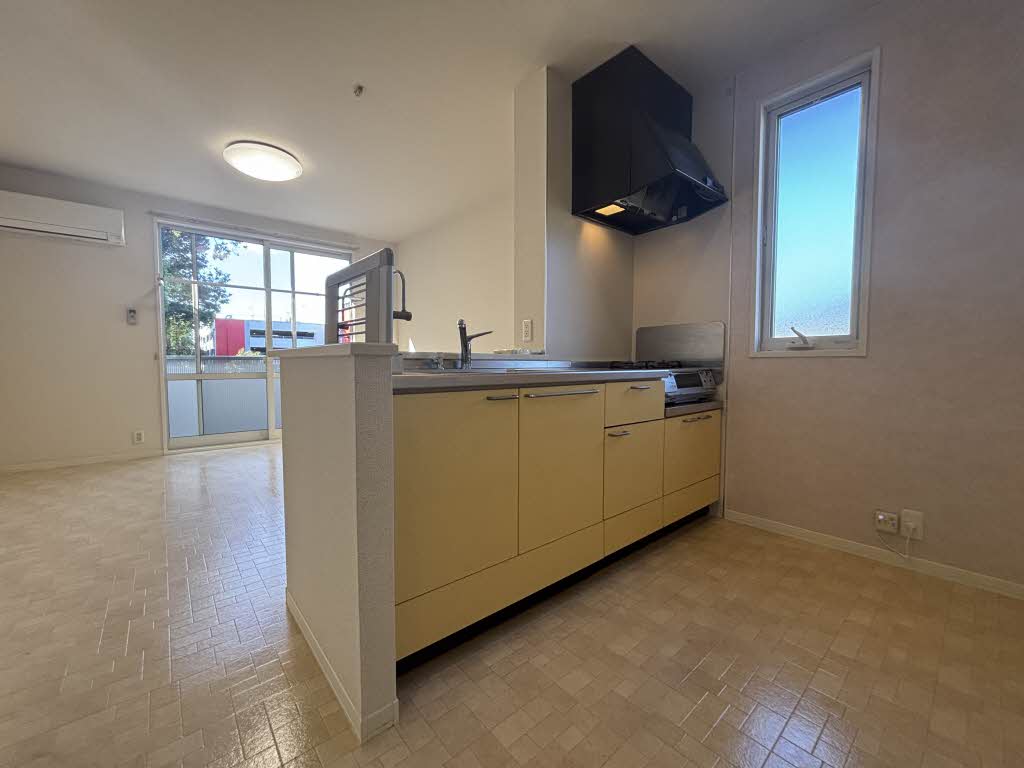 ディアスＫＳ A0201号-3