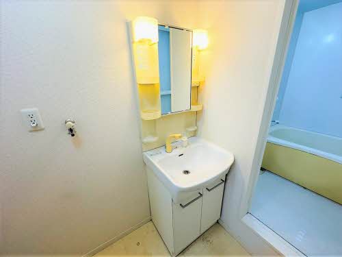 ディアスＫＳ A0202号-10