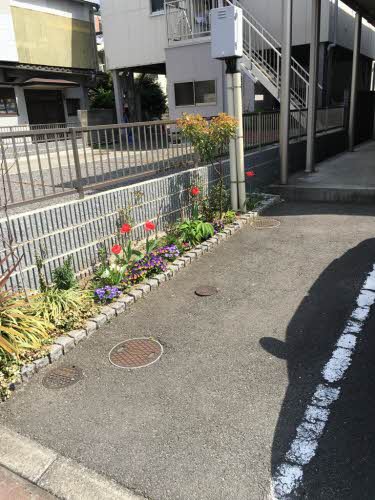 ソレイユ白山　＊ A0103号-13