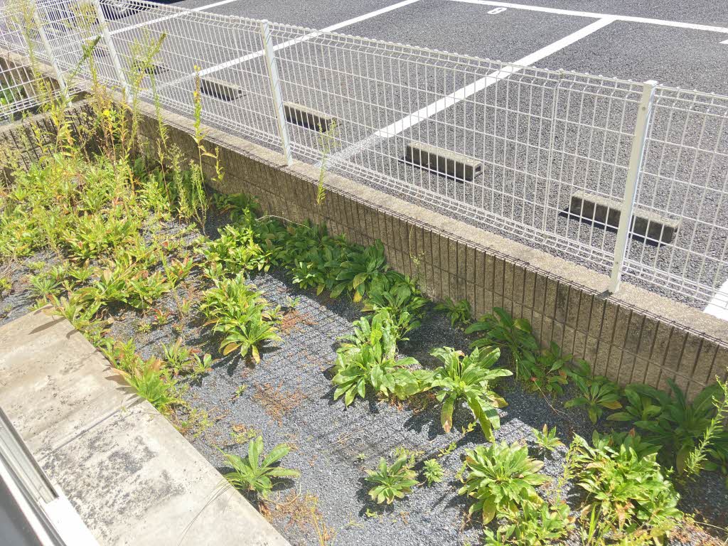 ハーティストＴ　Ａ棟　＊ A0102号-13