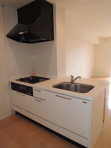 パステロ * A0102号-2