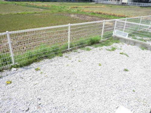 パディ沖代　Ｂ棟　＊＊ B0101号-9