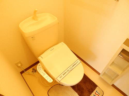 ディアスパルモ古国府 ** A0102号-10